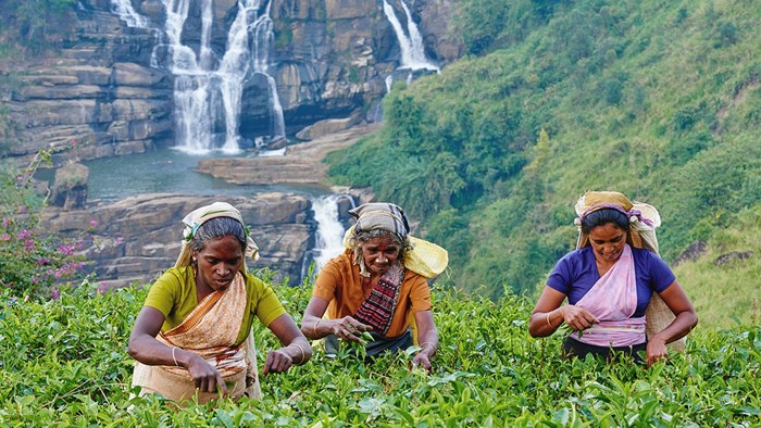 Sri Lanka